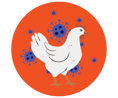 Bird flu icon (orange) chicken