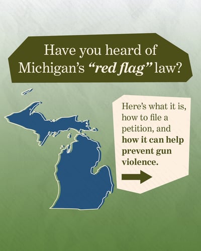 Have you heard of Michigans red flag law