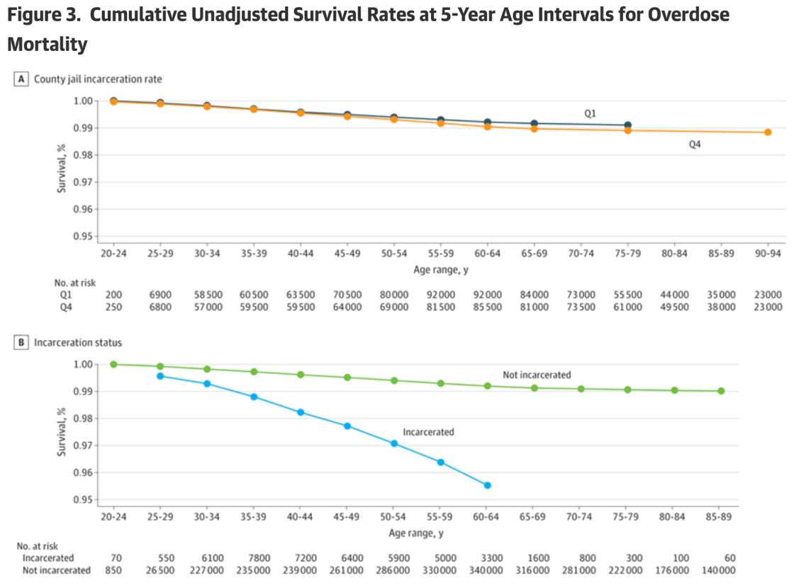 Screenshot 2025-06-09 at 9.05.39 PM